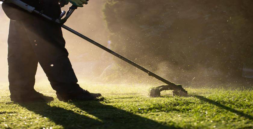 Pitch Cleaners
